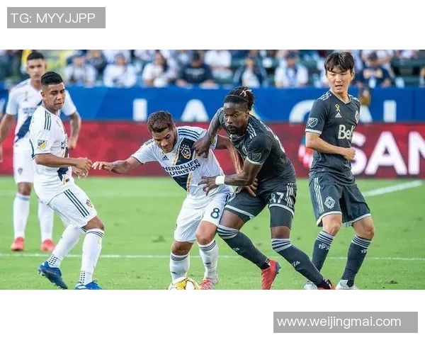 新英格兰革命与哥伦布的历史交锋与文化碰撞探讨