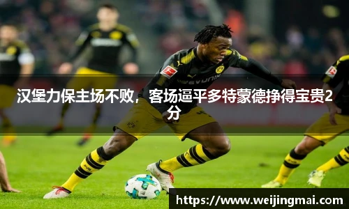 汉堡力保主场不败，客场逼平多特蒙德挣得宝贵2分