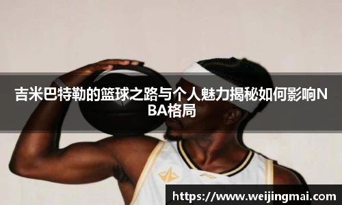 快盈VIII
