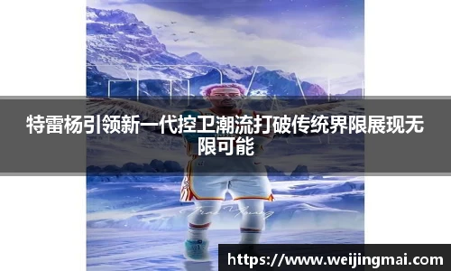 快盈VIII