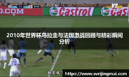 2010年世界杯乌拉圭与法国激战回顾与精彩瞬间分析